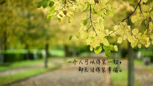 戰(zhàn)毒酒吧dj叫什么名字（戰(zhàn)毒酒吧DJ叫什么）